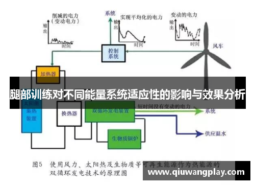 腿部训练对不同能量系统适应性的影响与效果分析